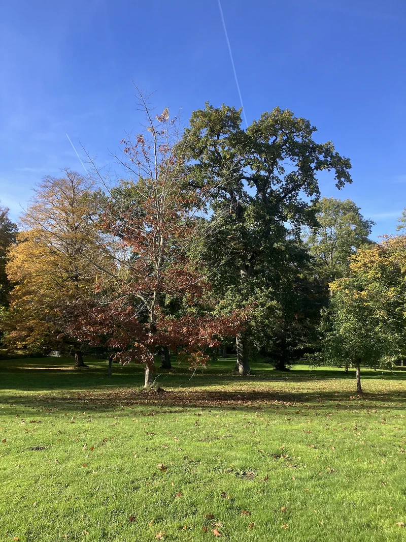 Landschaftspark von Gut Rosengarten
